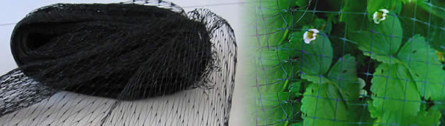Anti Bird Net in Agricultural and Garden Uses